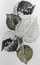 Barevné listy, 50x90 cm - pouze na osobní odběr