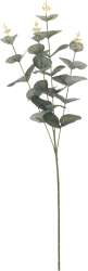 Eukalyptus větev, 65 cm