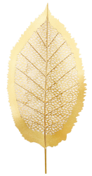 Zlatý list, 40x80 cm