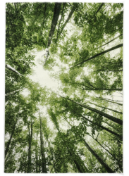 Belis 160x230  cm, zelený les - pouze na osobní odběr